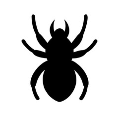 Spider: Intriguing Arachnids of Nature