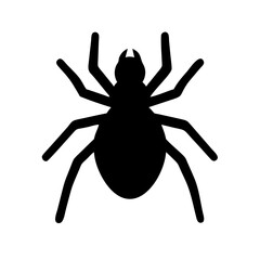 Spider: Intriguing Arachnids of Nature