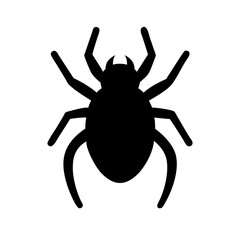 Spider: Intriguing Arachnids of Nature