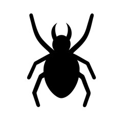 Spider: Intriguing Arachnids of Nature