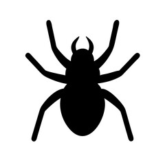 Spider: Intriguing Arachnids of Nature