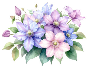 Clematis Bouquet in Pastel Pink and Lavender Shades, Artistic Watercolor Style, Transparent Background