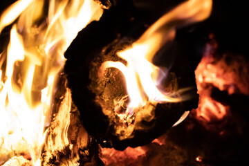 Burning stumps in a bonfire.
