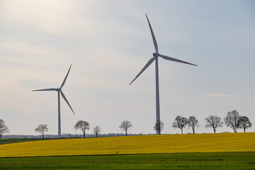 Nature and energy combined in flowering farmland landscape
