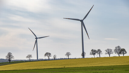 Wind energy turbines in bright flowering rapeseed field