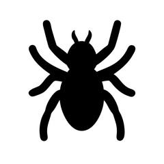 Spider: Intriguing Arachnids of Nature