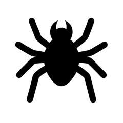 Spider: Intriguing Arachnids of Nature