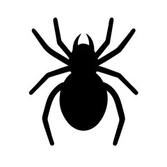 Spider: Intriguing Arachnids of Nature