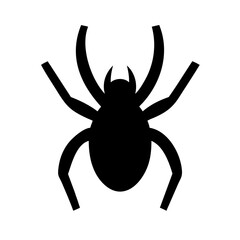Spider: Intriguing Arachnids of Nature