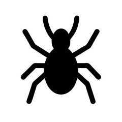 Spider: Intriguing Arachnids of Nature