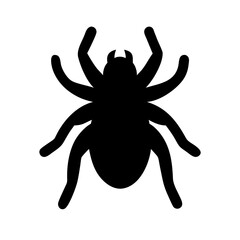 Spider: Intriguing Arachnids of Nature