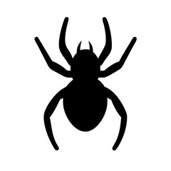 Spider: Intriguing Arachnids of Nature