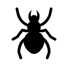Spider: Intriguing Arachnids of Nature