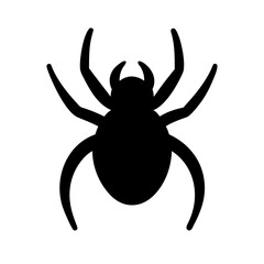 Spider: Intriguing Arachnids of Nature