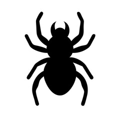 Spider: Intriguing Arachnids of Nature