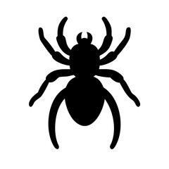 Spider: Intriguing Arachnids of Nature
