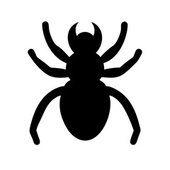 Spider: Intriguing Arachnids of Nature