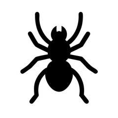 Spider: Intriguing Arachnids of Nature