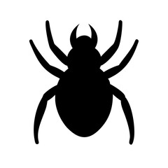 Spider: Intriguing Arachnids of Nature