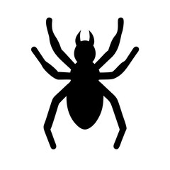 Spider: Intriguing Arachnids of Nature