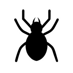 Spider: Intriguing Arachnids of Nature