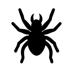 Spider: Intriguing Arachnids of Nature