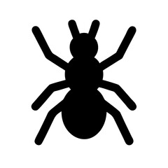 Spider: Intriguing Arachnids of Nature