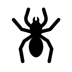 Spider: Intriguing Arachnids of Nature