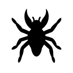 Spider: Intriguing Arachnids of Nature