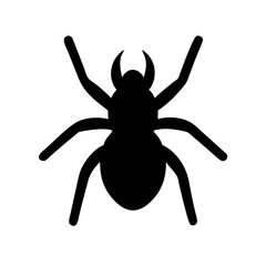 Spider: Intriguing Arachnids of Nature