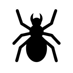 Spider: Intriguing Arachnids of Nature