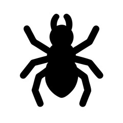 Spider: Intriguing Arachnids of Nature