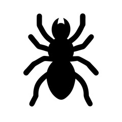 Spider: Intriguing Arachnids of Nature