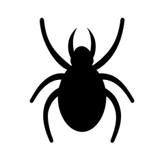 Spider: Intriguing Arachnids of Nature