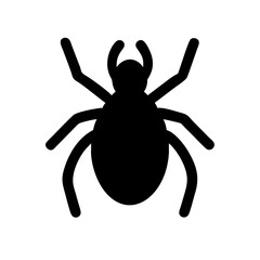 Spider: Intriguing Arachnids of Nature