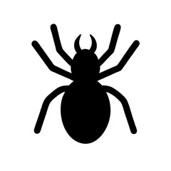 Spider: Intriguing Arachnids of Nature