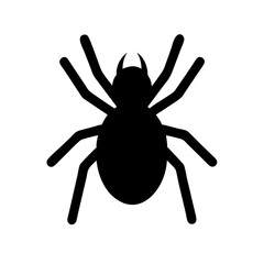 Spider: Intriguing Arachnids of Nature