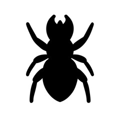 Spider: Intriguing Arachnids of Nature