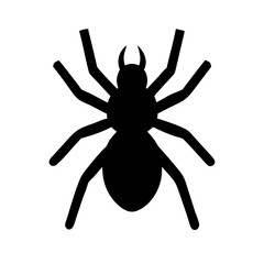 Spider: Intriguing Arachnids of Nature