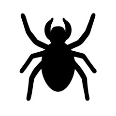 Spider: Intriguing Arachnids of Nature