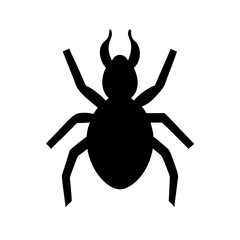 Spider: Intriguing Arachnids of Nature