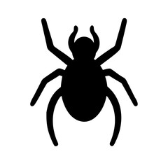 Spider: Intriguing Arachnids of Nature