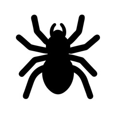Spider: Intriguing Arachnids of Nature