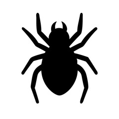 Spider: Intriguing Arachnids of Nature