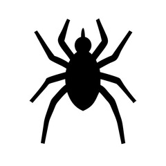 Spider: Intriguing Arachnids of Nature