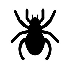 Spider: Intriguing Arachnids of Nature