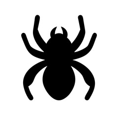 Spider: Intriguing Arachnids of Nature