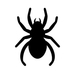 Spider: Intriguing Arachnids of Nature