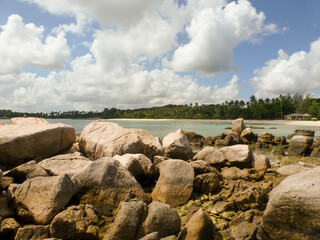 A beautiful tropical rocky beach with palm trees on Bintan Island, Indonesia