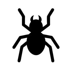 Spider: Intriguing Arachnids of Nature